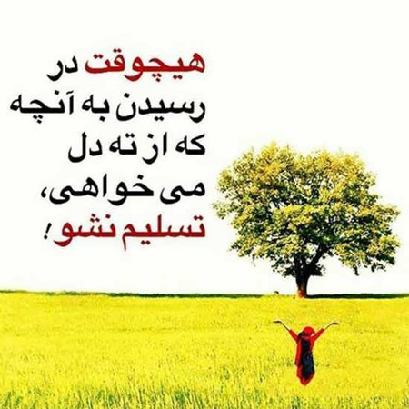 پروفایل امیدوار کننده و شاد