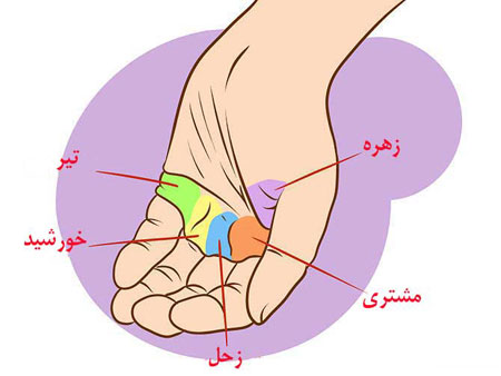 کف بینی تصویری , کف بینی خطوط ازدواج 