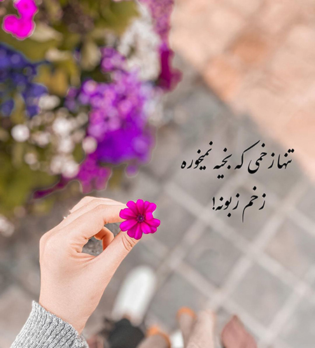 عکس گل و بلبل برای پروفایل