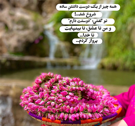 عکس گل و بلبل برای پروفایل