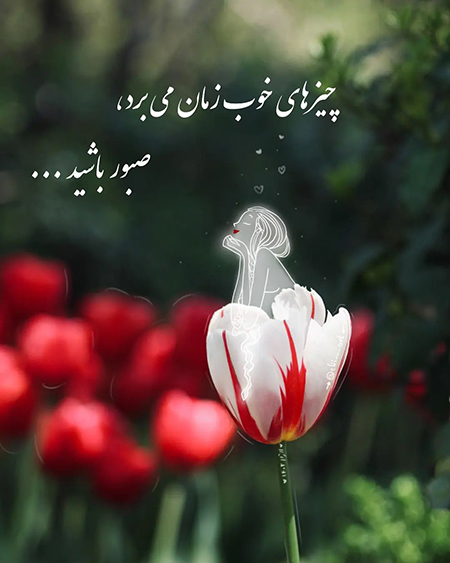 عکس گل و بلبل برای پروفایل