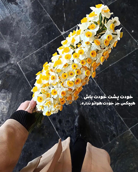 عکس گل و بلبل برای پروفایل
