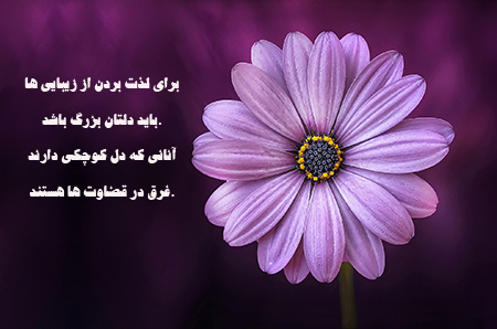 عکس گل و بلبل برای پروفایل