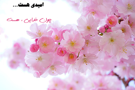 عکس گل و بلبل برای پروفایل