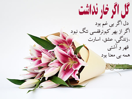 عکس گل و بلبل برای پروفایل