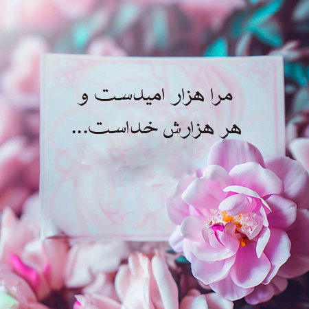 عکس گل و بلبل برای پروفایل