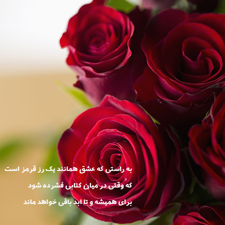 عکس گل و بلبل برای پروفایل