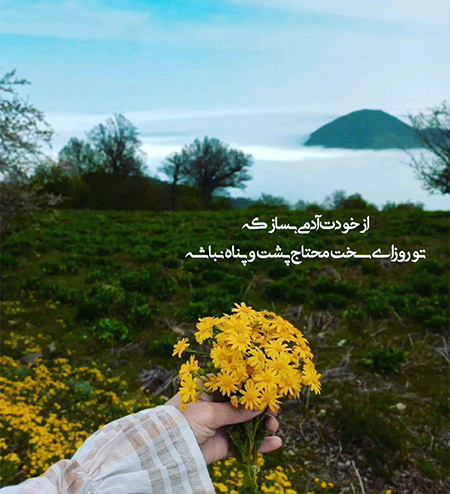 عکس گل و بلبل برای پروفایل