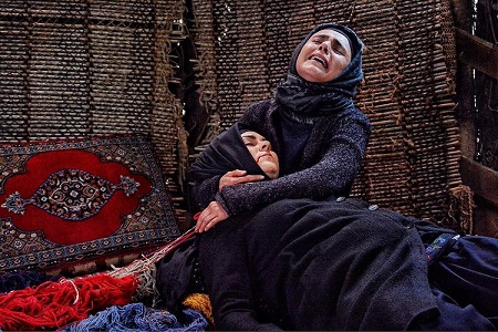 رویا حسینی,بیوگرافی رویا حسینی,زندگینامه رویا حسینی