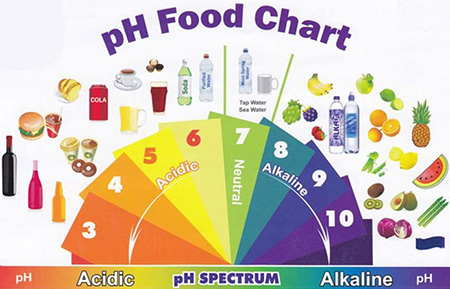 رژیم آلکالاین, رژیم غذایی کاهش وزن, رژیم آلکالاین چیست