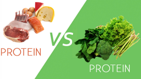 پروتئین حیوانی در مقابل پروتئین گیاهی؛کدام یک برای مدیریت وزن بهتر است؟