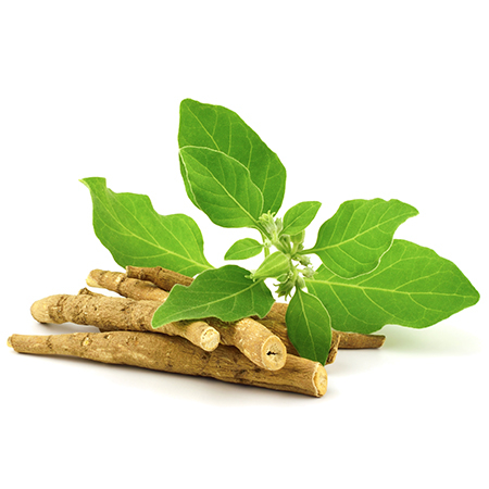 آشواگاندا, دوز مصرف آشواگاندا