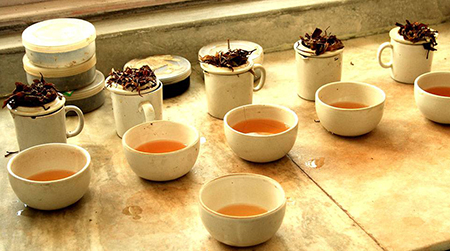 چای دارجلینگ، طرز تهیه چای دارجلینگ، طرز نوشیدن چای دارجلینگ