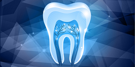 کاشت دندان با سلول های بنیادی, ترمیم دندان با سلول های بنیادی