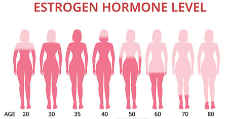 غذاهایی برای افزایش سطح استروژن, غذاهای حاوی استروژن, میزان استروژن در سنین مختلف