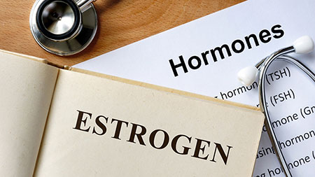 غذاهایی برای افزایش سطح استروژن, غذاهای حاوی استروژن, هورمون استروژن چیست