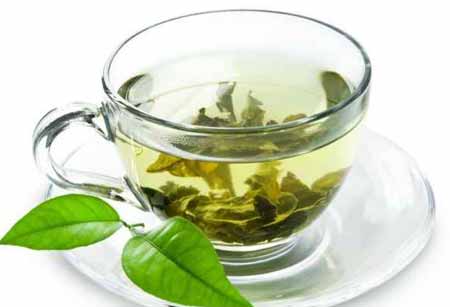 خاصیت گیاه چای سبز