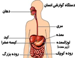  روزه‌داری و بیماری‌های گوارشی, بیماری و روزه داری