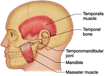 اعصاب ناحیه مفصلی, دندان درد, سندرم TMJ