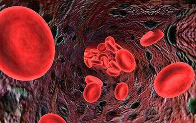  سیستم ایمنی بدن, انواع سرطان خون