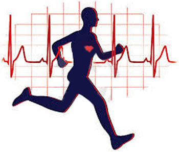 پیشگیری از بیماری‌های قلبی, کاهش کلسترول خون
