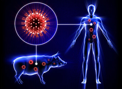 راههای درمان آنفلوآنزای خوکی, بیماری تنفّسی