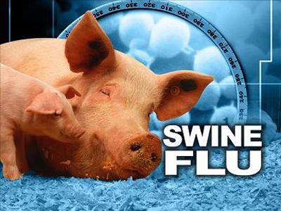 آنفلوآنزای خوکی چیست,آنفلوانزاي خوكي