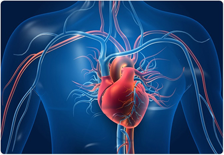 علائم هشدار دهنده قلبی, علایم بیماری قلبی, علائم مشکلات قلبی