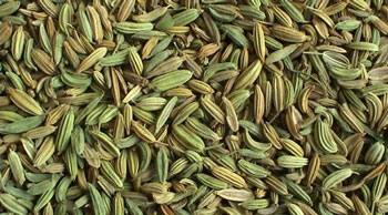 خواص درمانی رازیانه,خواص گیاه رازیانه،گیاه رازیانه