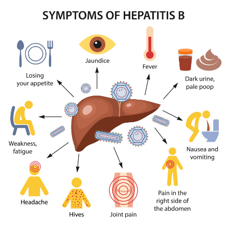 پیشگیری از هپاتیت b, ویروس هپاتیت, پیشگیری از هپاتیت ب