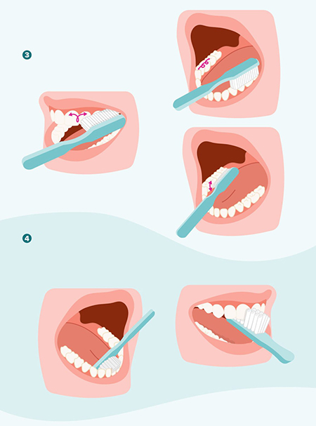 روش صحیح مسواک زدن , اموزش مسواک زدن