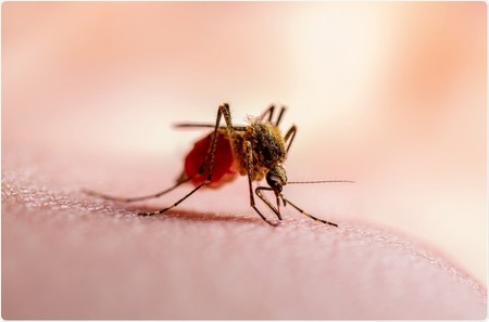 علائم تب مالاریا, بیماری مالاریا چیست, مالاریا