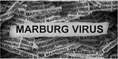 ویروس ماربورگ, ویروس ماربورگ چیست