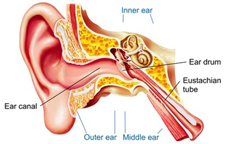 عوارض عفونت گوش میانی, درمان عفونت گوش میانی وسرگیجه