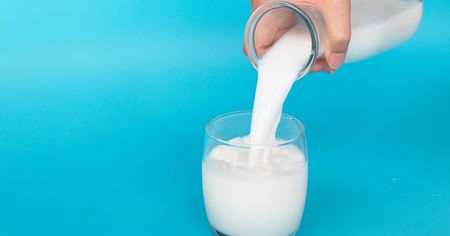 رژیم شیر و لاغری, رژیم شیر و موز, آیا رژیم شیر مناسب است