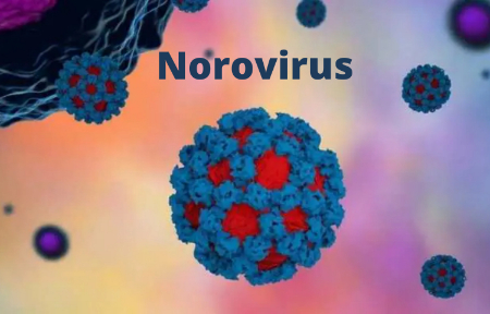 نوروویروس, انواع  نورویروس, علائم نورویروس