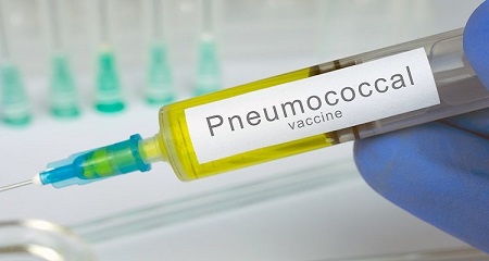 واکسن پنوموکوک, نحوه انتقال بیماری پنوموکوکی, پنوموکوک چیست