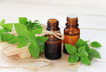 روغن ریحان, روغن ریحان برای گوش