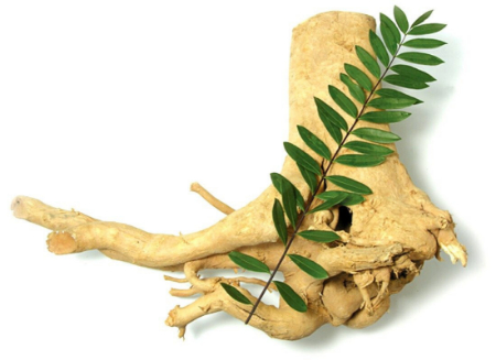 تونکات علی قرنهاست به عنوان تقویتکننده جنسی استفاده میشود قرص دویلتفین, دویلتفین برای آرتروز