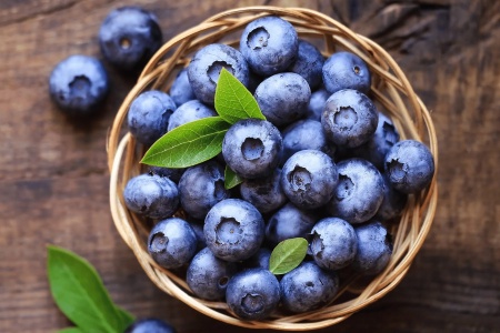 گیاه دارویی برای عفونت ادراری