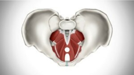 مصرف زیاد کافئین و الکل با کمآبی بدن این لرزش را تشدید میکند لرزش واژن, احساس لرزش در لگن