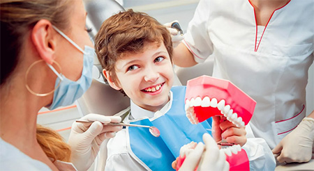تجهیزات موردنیاز در فضای مطلب, بخش‌های مطلب دندانپزشکی