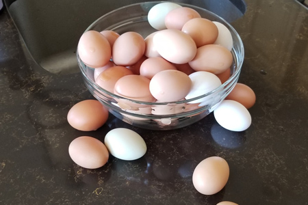 ضد عفونی تخم مرغ,چگونه تخم مرغ را ضد عفونی کنیم