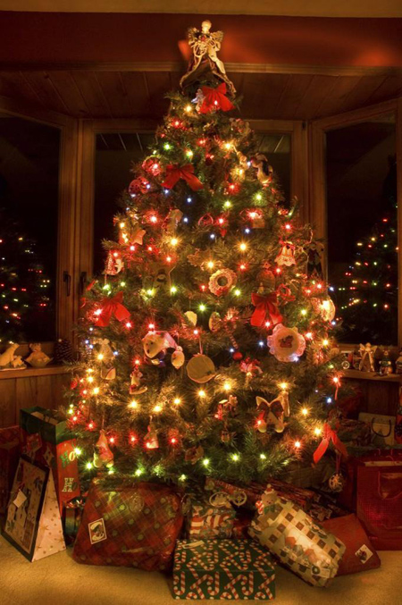 تصاویر درخت کریسمس,تزیین کردن درخت کریسمس