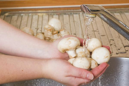 شستن قارچ,شیوه صحیح شستن قارچ,شیوه شستن قارچ ها