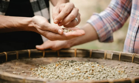 فواید و مضرات قهوه, عوارض قهوه