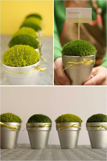 مدل سبزه عید،سبزه عید نوروز تزیینات زیبای سبزه عید,مدل سبزه هفت سین