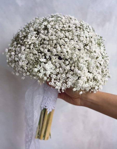 گل عروس ژیپسوفیلا,دسته گل عروس ژیپسوفیلا,کاربردهای ژیپسوفیلا