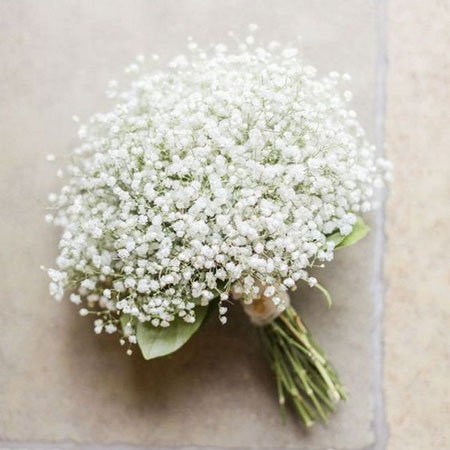 گل عروس ژیپسوفیلا,دسته گل عروس ژیپسوفیلا,گل عروس رنگی ژیپسوفیلا