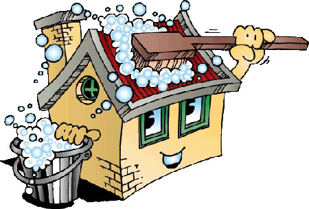 مواد لازم برای خانه تکانی, تمیزکاری با مواد طبیعی